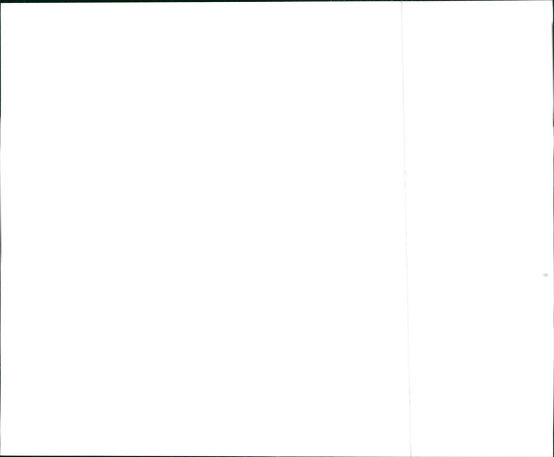 1999 Toyota - Vintage Photograph