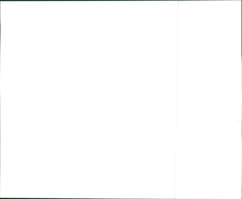 1999 Toyota - Vintage Photograph