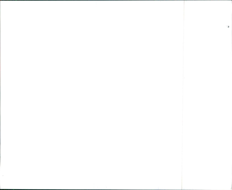 1970 Oldsmobile Cutlass Supreme Holiday Coupe - Vintage Photograph