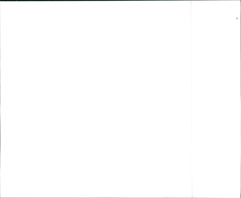 1970 Oldsmobile Delta 88 Royale - Vintage Photograph