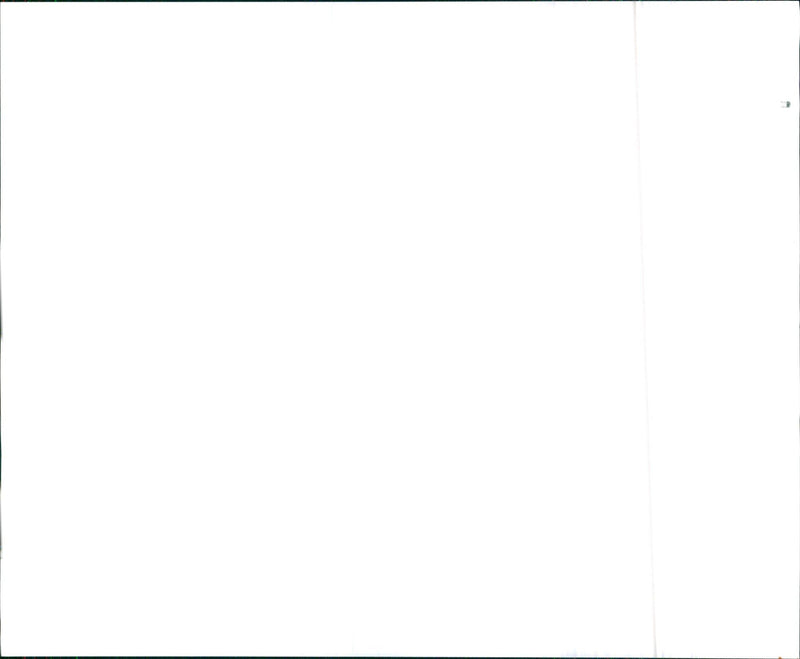 1970 Oldsmobile 442 - Vintage Photograph