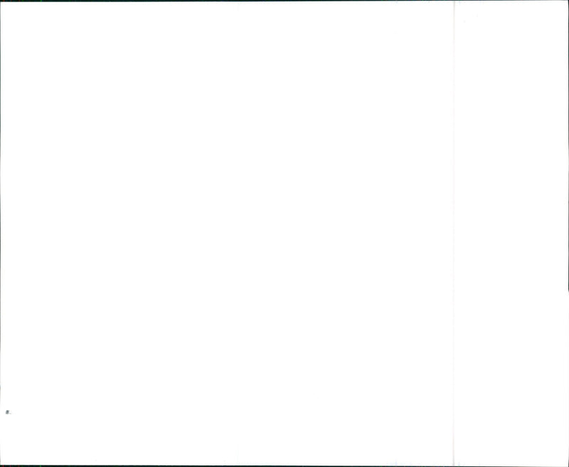 Buick Electra Estate Wagon - Vintage Photograph