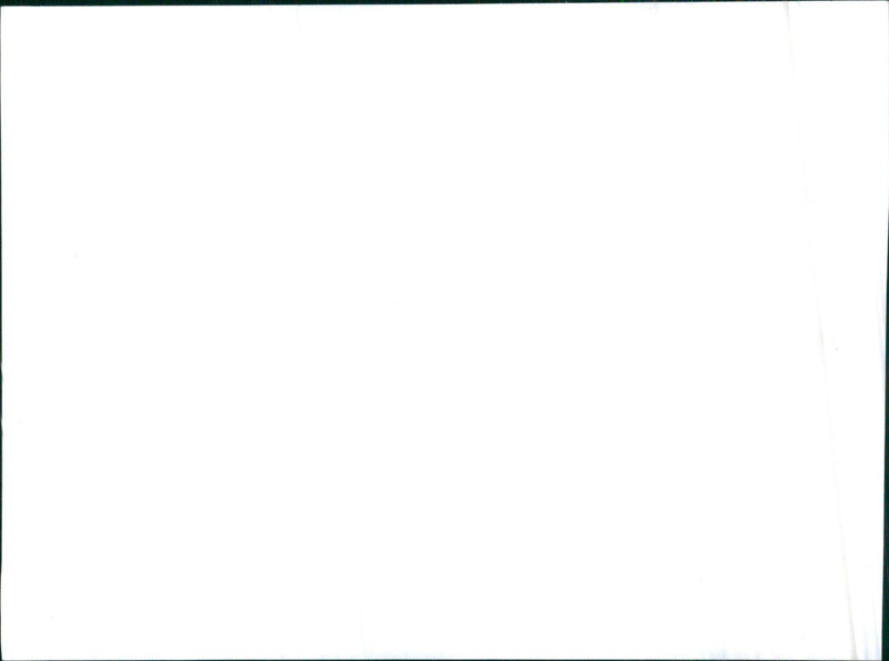 1970 Dodge Challengers - Vintage Photograph