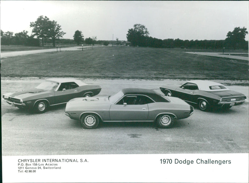 1970 Dodge Challengers - Vintage Photograph