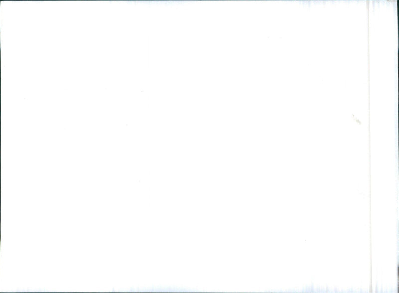 1970 Dodge Dart Swinger and Dodge Super Bee - Vintage Photograph