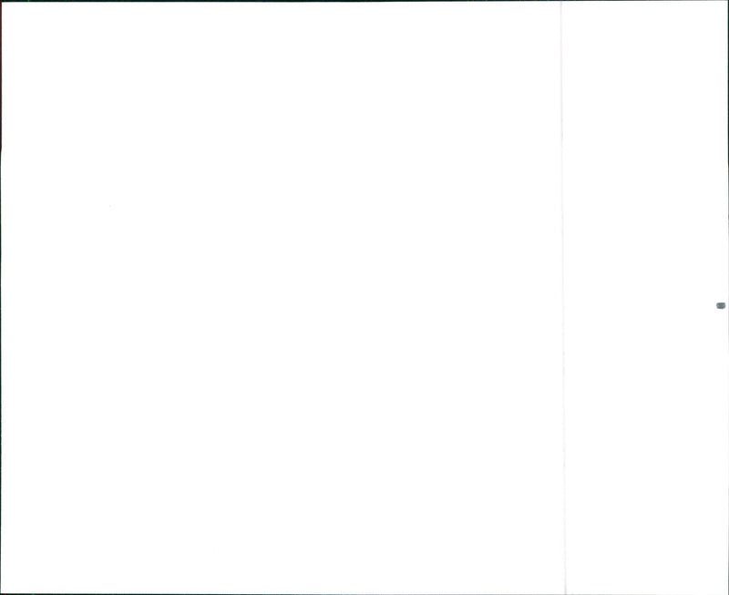 1990 Toyota Supra Turbo - Vintage Photograph