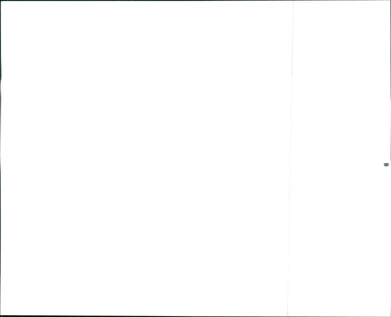 Toyota Two-Wheel-Drive 4Runner - Vintage Photograph