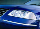 2000 Volkswagen Passat - Vintage Photograph