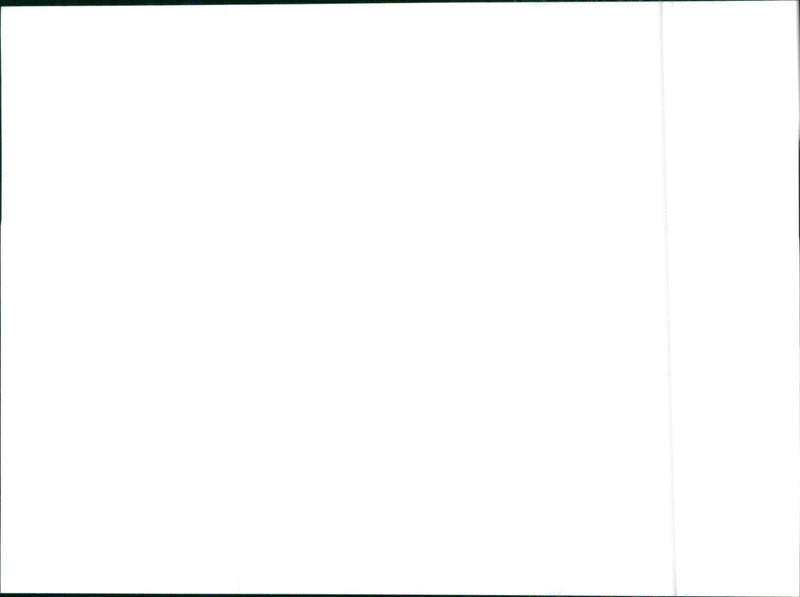 1998 Hyundai Coupe - Vintage Photograph