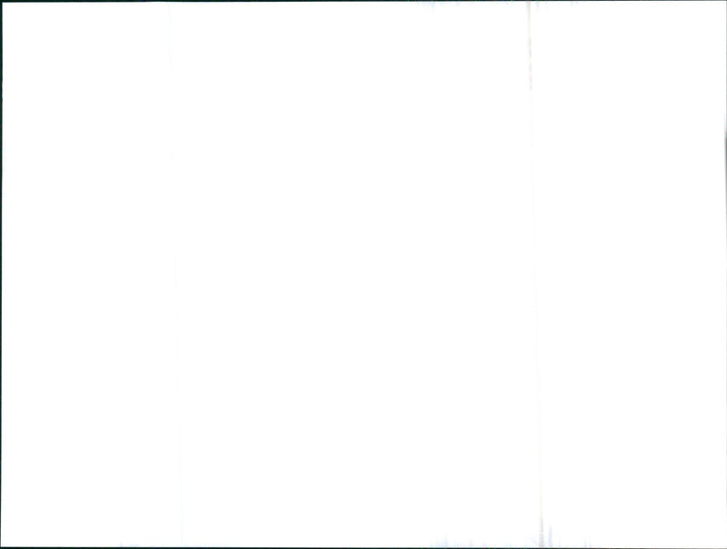 Toyota Celica - Vintage Photograph