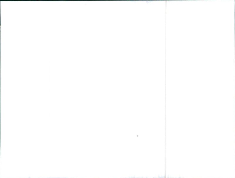 Toyota Yaris Verso - Vintage Photograph