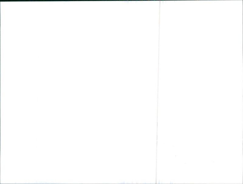 Toyota VVT-i - Vintage Photograph