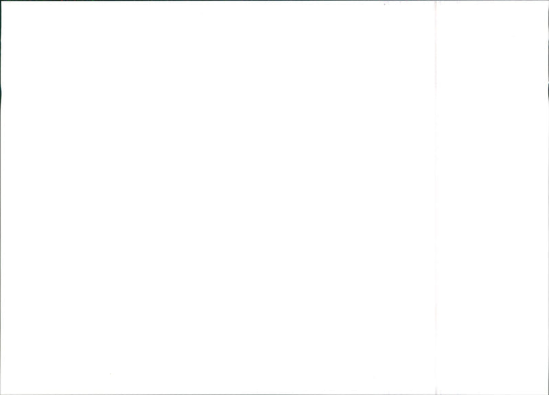 1985 SEAT Ibiza - Vintage Photograph