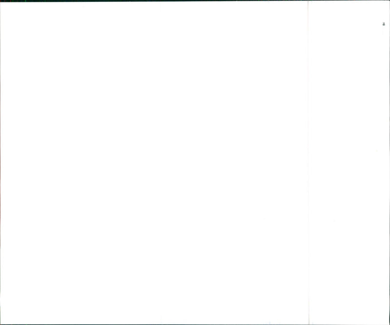 1970 Oldsmobile Cutlass Supreme Holiday Coupe - Vintage Photograph