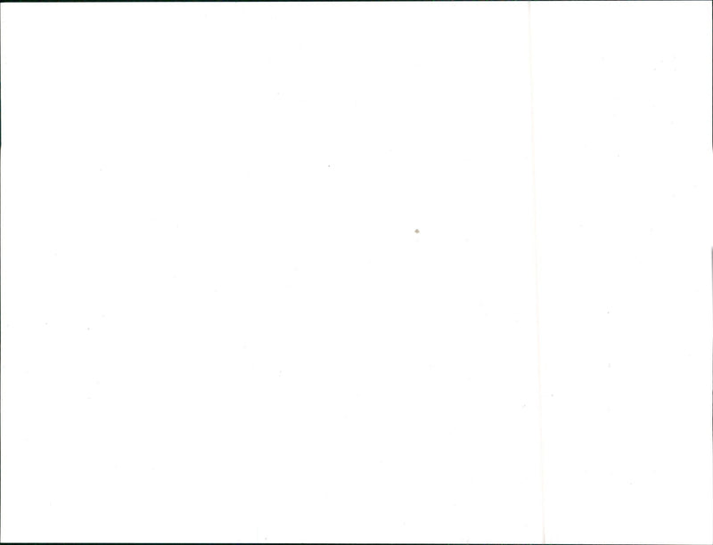 Nuccio Bertone (in black jacket) on the Drawing Board - Vintage Photograph