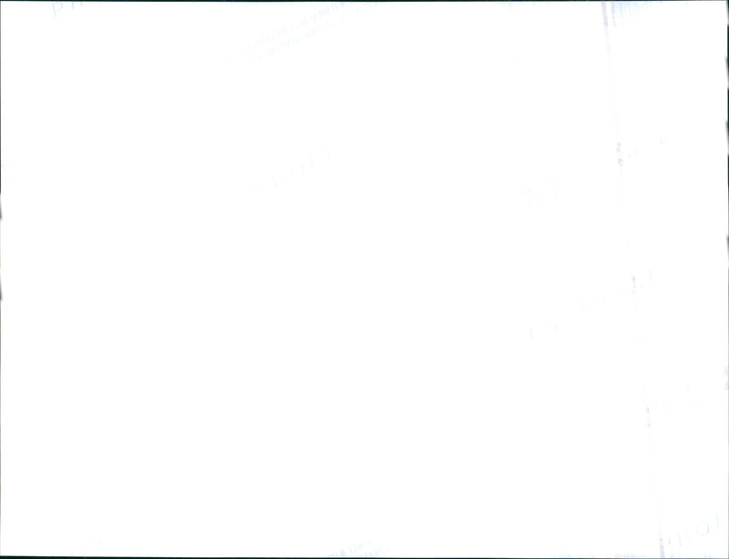 1999 Honda - Vintage Photograph