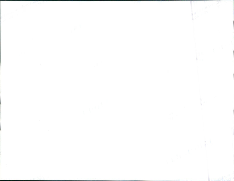 1999 Honda - Vintage Photograph