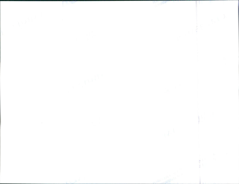 1999 Honda - Vintage Photograph