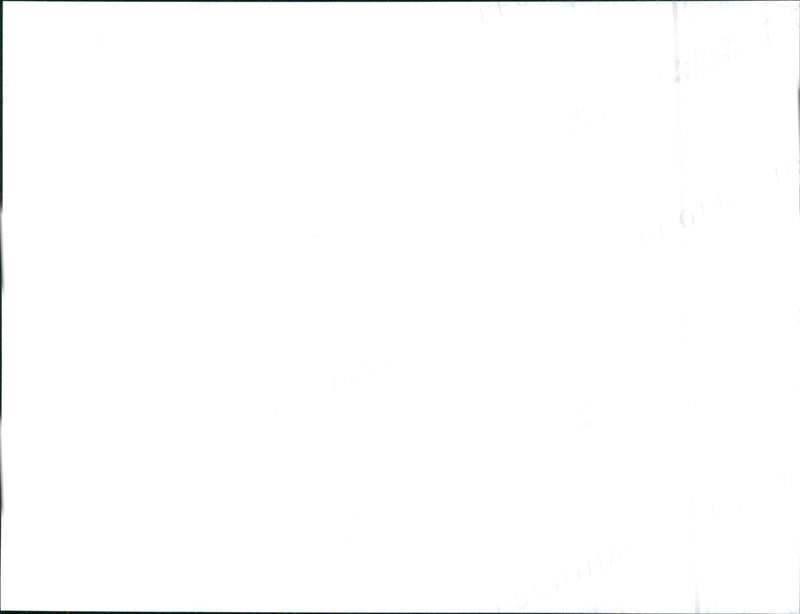 1999 Honda Logo - Vintage Photograph