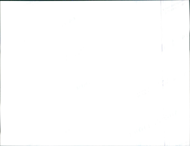 1999 Honda Logo - Vintage Photograph