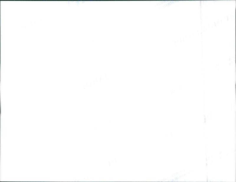 1999 Honda Logo - Vintage Photograph