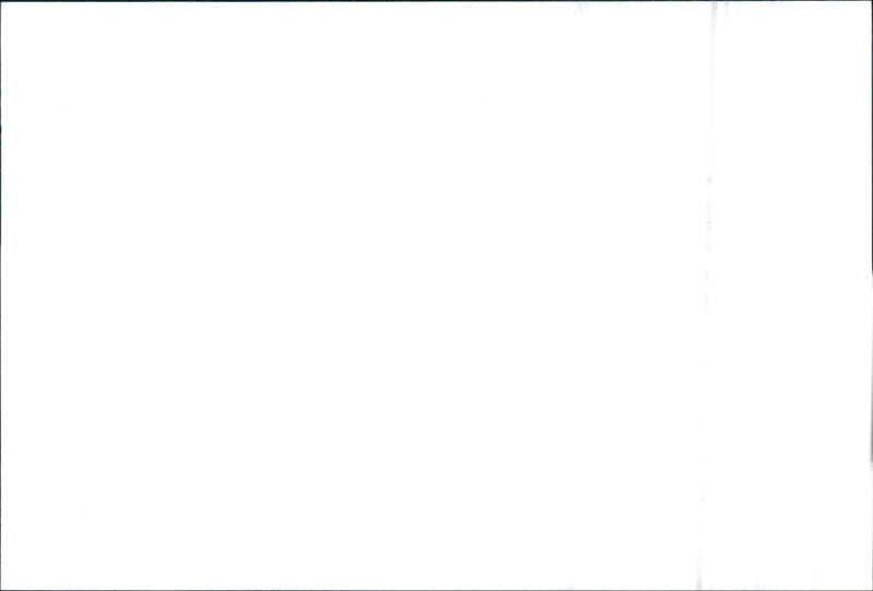 1998 Tata Indica - Vintage Photograph