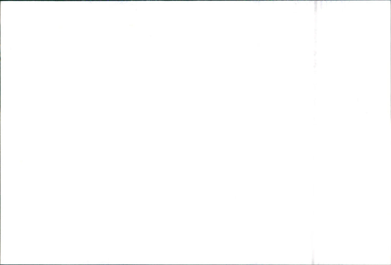 1998 Tata Indica - Vintage Photograph