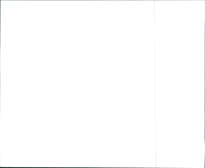 1995 Audi A6 Quattro - Vintage Photograph