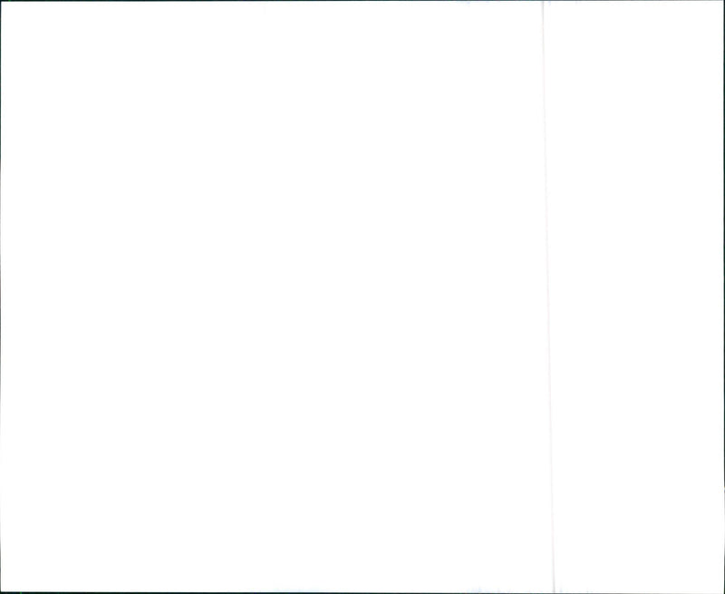 1995 Audi A6 Quattro Wagon - Vintage Photograph