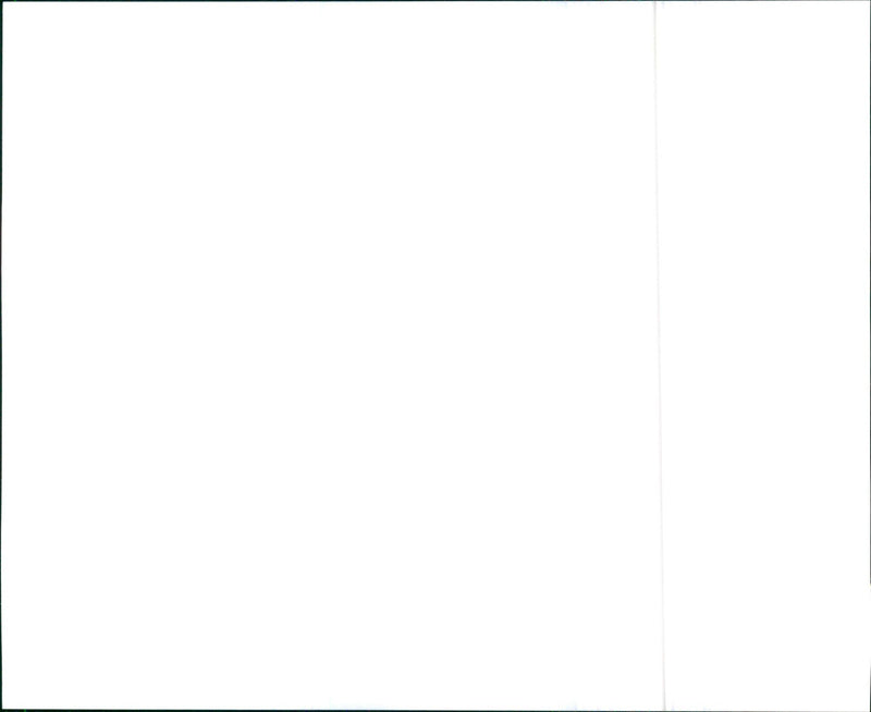 1995 Audi S6 - Vintage Photograph