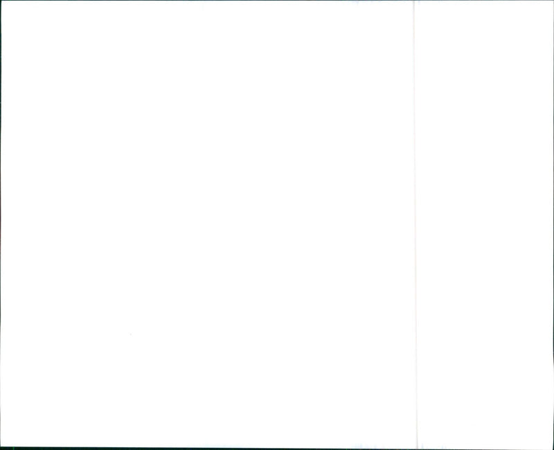 1995 GMC Safari - Vintage Photograph