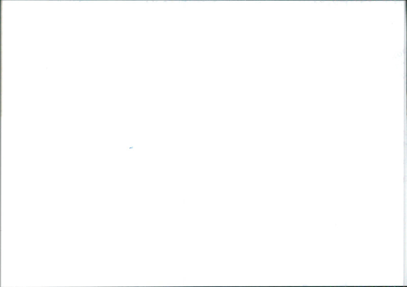 Tata Indica - Vintage Photograph