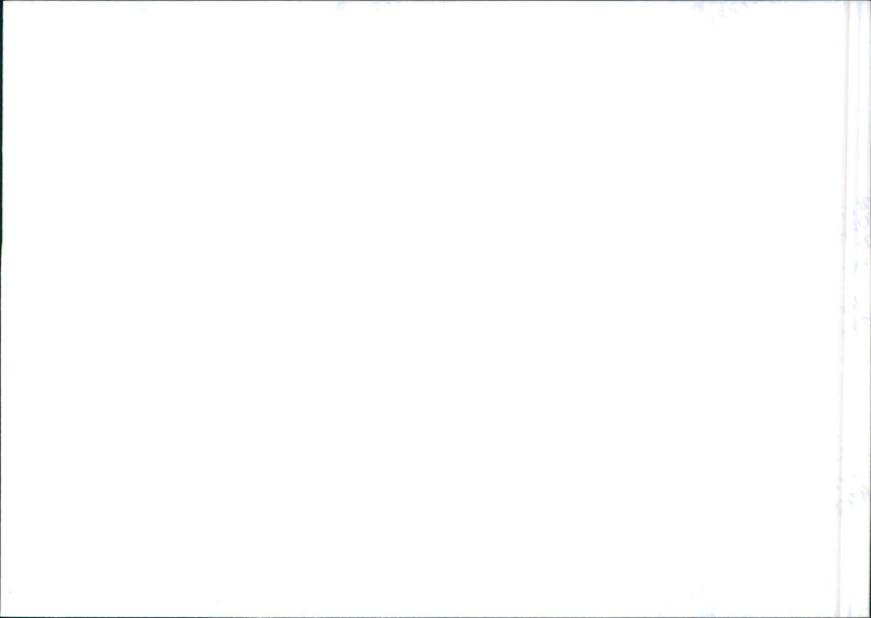 Tata Safari - Vintage Photograph