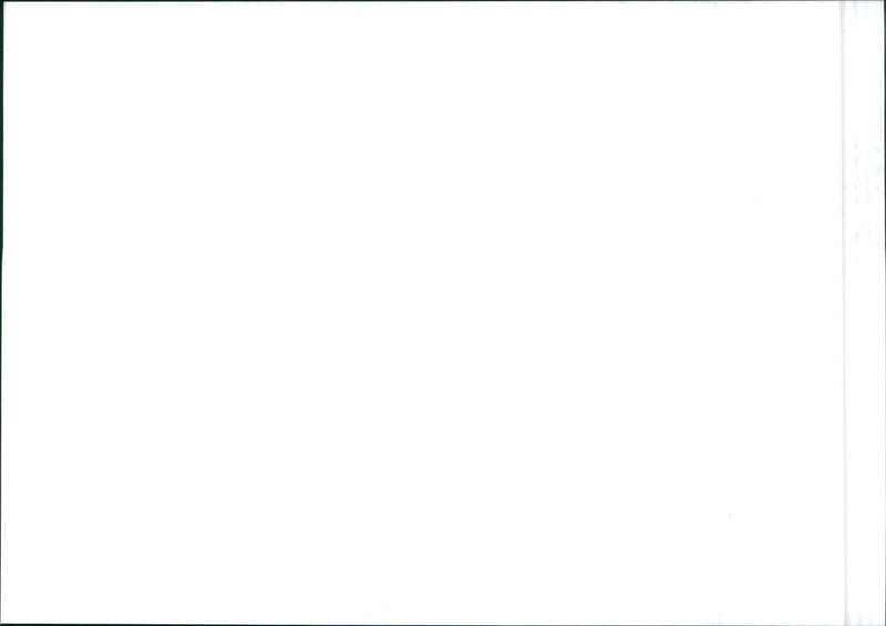 Tata Safari - Vintage Photograph