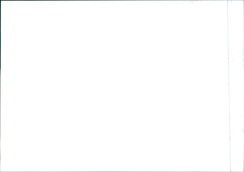 Tata Safari - Vintage Photograph