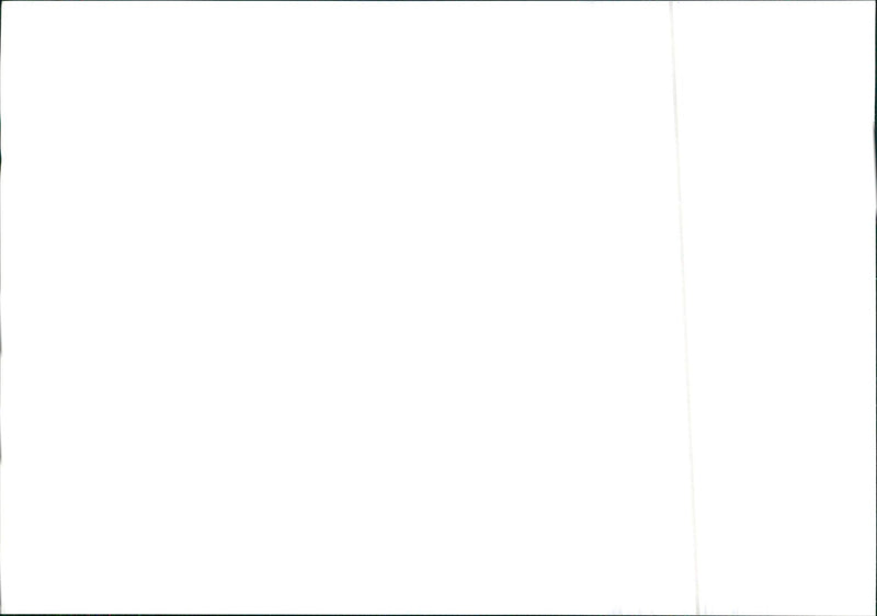 Drawing of Lancia Delta HF integrale's engine - Vintage Photograph