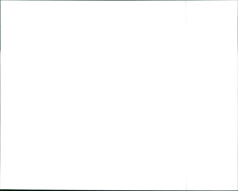 Lancia Delta HF integrale 16v - Vintage Photograph