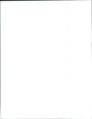 2000 Mecedes-Benz S-Class - Vintage Photograph