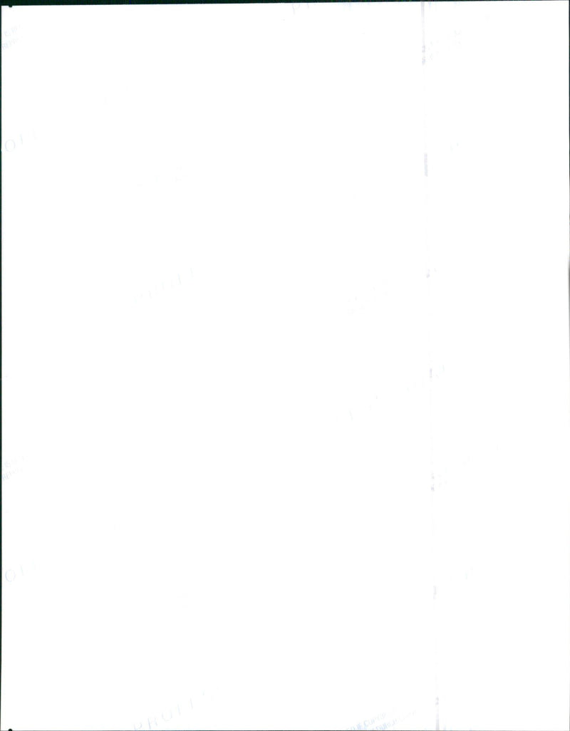 2000 Mecedes-Benz S-Class - Vintage Photograph