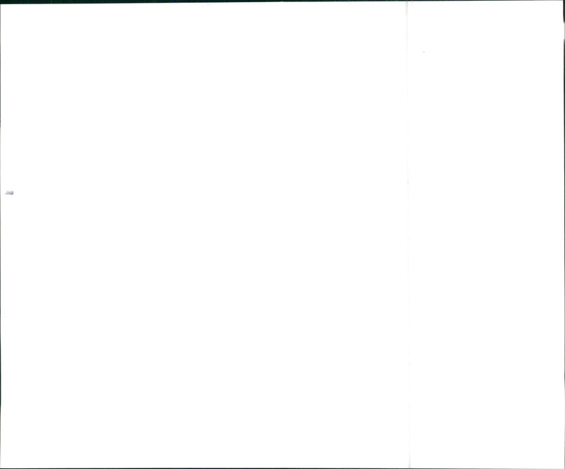 1999 Hyundai Sonata - Vintage Photograph