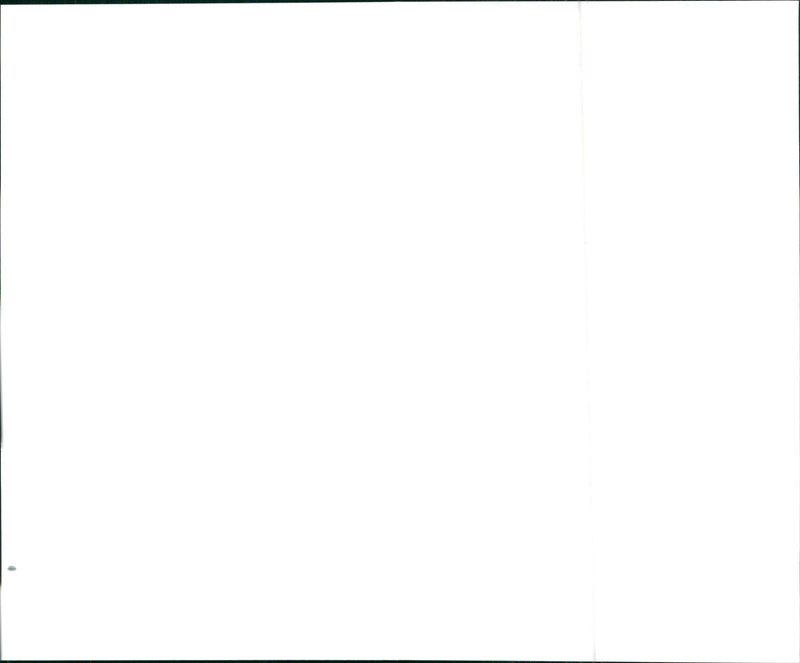 1999 Hyundai Elantra Wagon - Vintage Photograph