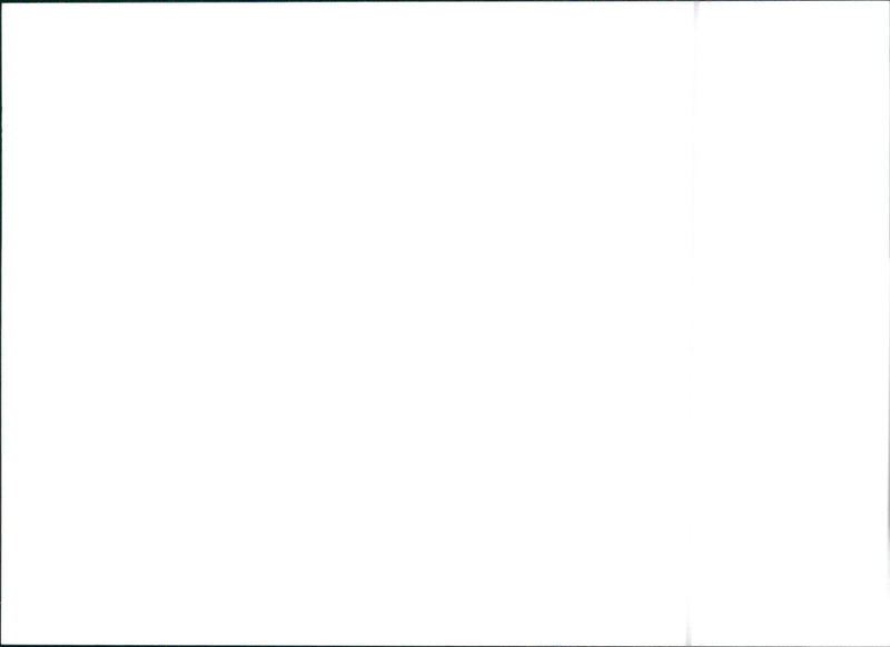 1997 Citroën Xsara - Vintage Photograph