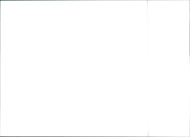 1997 Citroen Xsara - Vintage Photograph