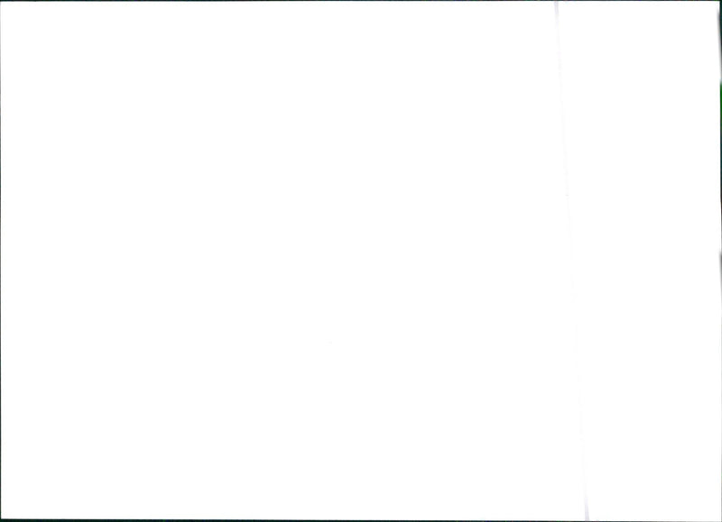 1997 Citroën Saxo - Vintage Photograph