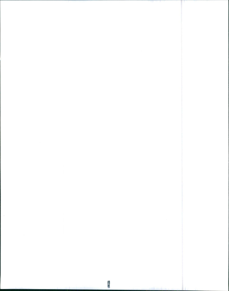 1973 Chevrolet Caprice Classic Coupe - Vintage Photograph