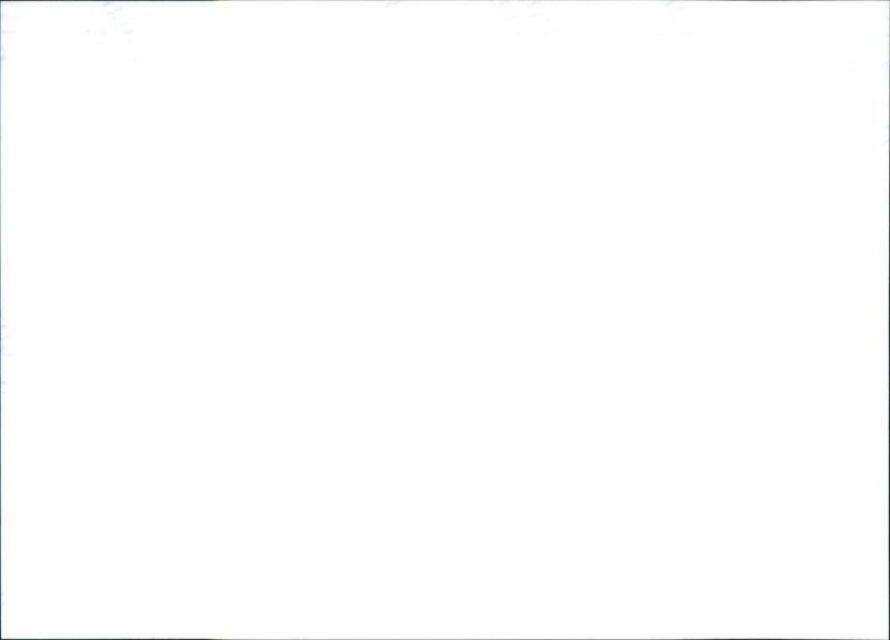 Toyota Paseo Convertible. - Vintage Photograph