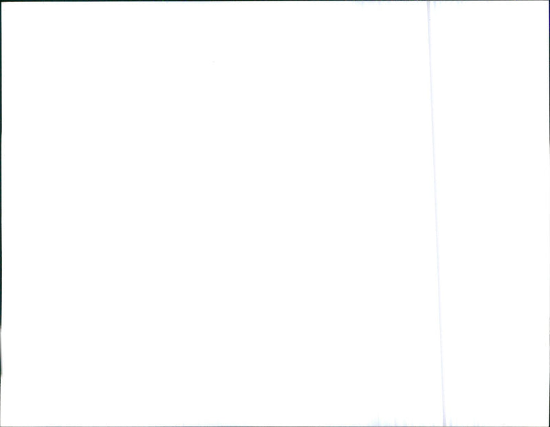 1996 Rover 200 - Vintage Photograph