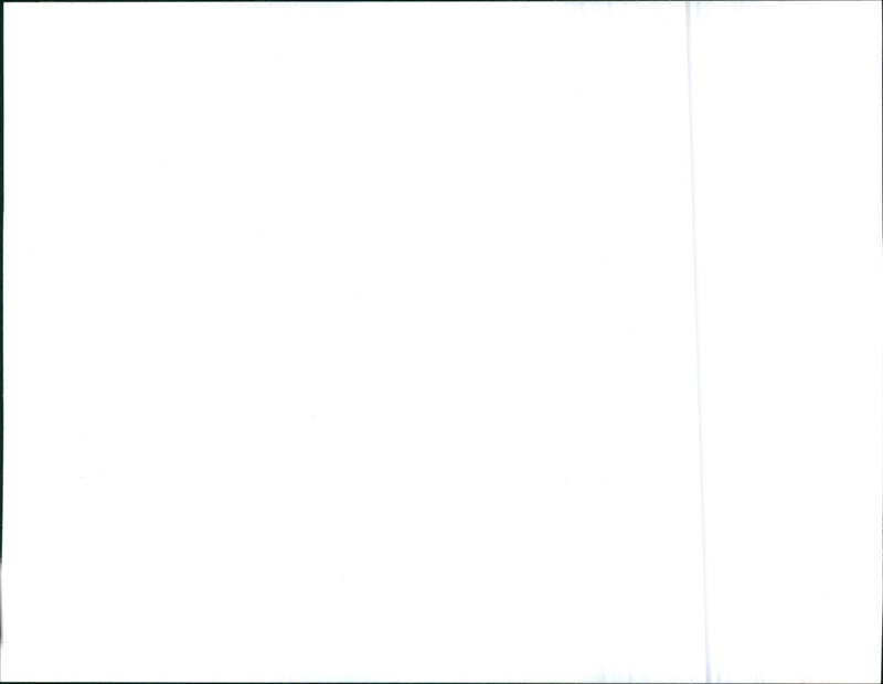 1996 Rover 200 - Vintage Photograph