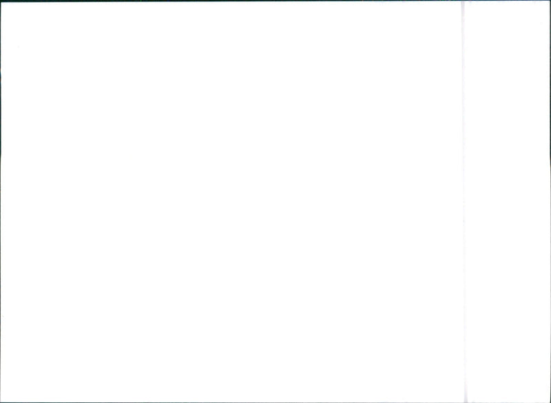 1996 SsangYong Musso - Vintage Photograph