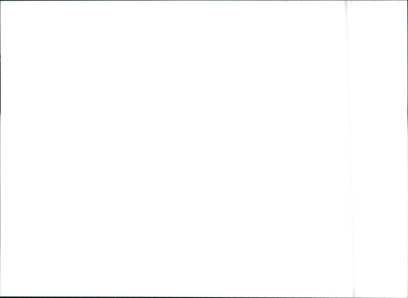 1996 SsangYong Musso - Vintage Photograph